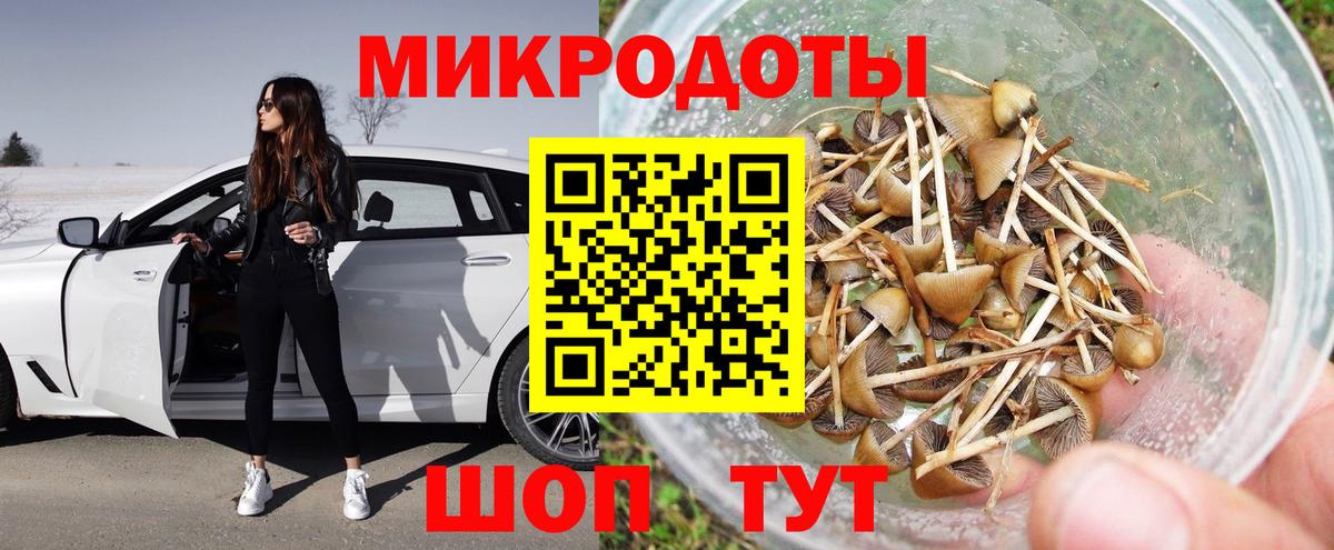 Псилоцибиновые грибы GOLDEN TEACHER  Галлюциногенные грибы MAGIC MUSHROOMS  Кемерово  Вход с VPN 